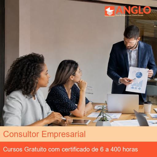 Consultor Empresarial